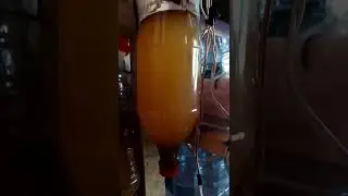 İşte yeni Artemia çıkışı - Marine Akvaryum 0533 521 92 22