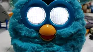 Test - Furby russia