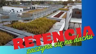 Dachy retencyjne, sztuczne mokradła jako element błękitno-zielonej infrastruktury.