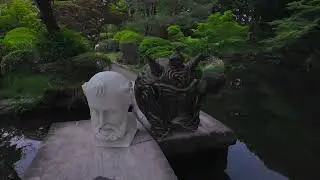CGcomptest2