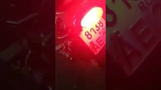 Конь ТыгDыМский