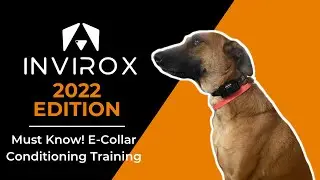 MUST KNOW! How to STOP Unwanted Dog Behaviors with an E COLLAR Conditioning!