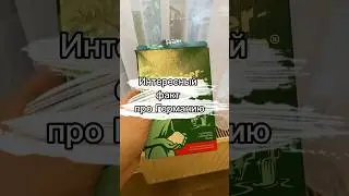 🇩🇪 Украинцы в Германии 🙀