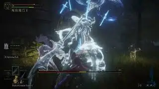 Highlight:  Royal Knight Loretta