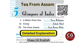 Tea from Assam ☕: A Class 10 English Lesson