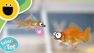 Baby Shark | Tater & Tot (Sesame Studios)