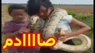 بنات يصطدن الافاعي و كانهم نمل - سبحان الله