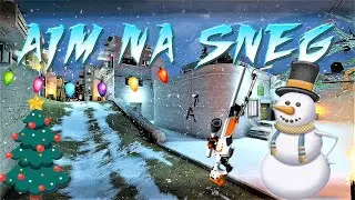 Aim na Sneg