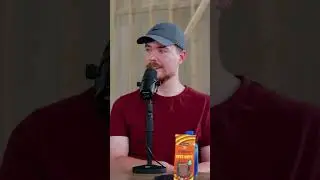 The Secrets and Pressures of Running a Creator Led Business Revealed #shorts #mrbeast