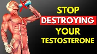10 Everyday Things That Kill Your Testosterone Levels! (You Must Watch)