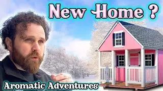 My New Home ? - Tiny House - Tree Fort