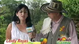 residuos solidos1