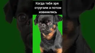 когда не в чем не виноват