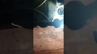 шестерня спидометра лагуна 1 JC5