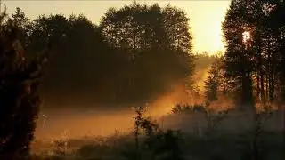 Райман Ишбаев Ауылымда аҡ томан