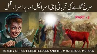 History of Red Heifer | The Mysterious Eglah Arufah | Bani Israel main Qatal| Part 2 #redheifer