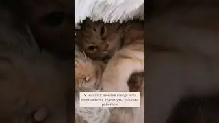 что делаешь?