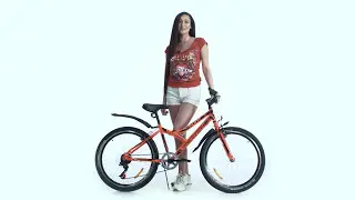 Велосипед 24