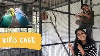 പുതിയ കിളികൂട് പണിത് || Build new Bird Cage || Budgies || African love birds
