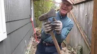 How to Rid & Remove Bamboo PERMANENTLY from your Property