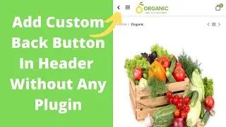 How to add back button in header | WoodMart Theme