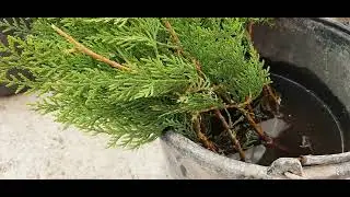 404.Смотрим и смеёмся вместе ❤ и будем жить долго и счастливо 😃 💋
