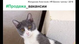 Как продать вакансию. Желудкова Анастасия, HR Бизнес-тренер