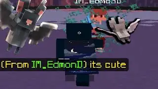 So I got a BAT PET in Minecraft... (LUNAR CLIENT PETS)