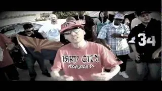 Bird City- 