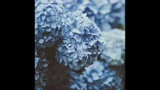 [FREE] Nas x J. Cole x Kendrick Lamar x Mac Miller x Isaiah Rashad x Logic Type Beat | 