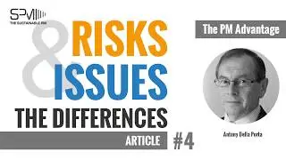 Risks and Issues - The Differences: Article #4