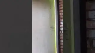 Пьяные повара в Приморье в детском саду 151