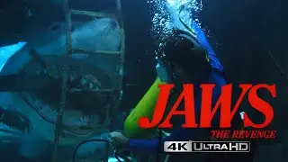 Jaws: The Revenge - "You better get out of the water, now!" | 4K HDR  | High-Def Digest
