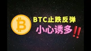 BTC 止跌反弹，小心诱多？