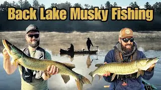 Canoe Musky Fishing - Ontario Back Lake Adventure