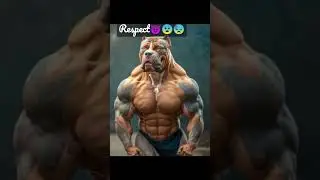 respect body builder dog