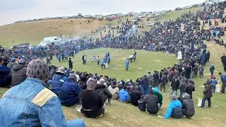 Гуштинг дар 3юмнасос Гулистон
