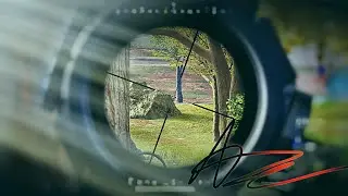 Clips Galore