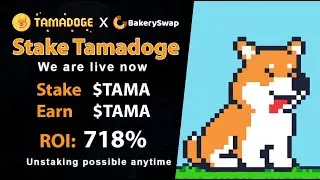 Tamadoge NEW UPDATE (Official Announcement) Tamadoge