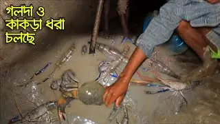 শীতের আগেই গলদা কাঁকড়া আর দাতিনা মাছের হিড়িক জেলেদের গড়া জালে | Adventure BD