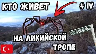 Кто живет на Ликийской тропе. Красоты Турции. Цены на продукты в Турции. Велопоход по Турции #4.