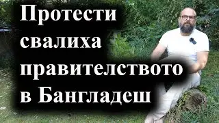 Премиерката Шейх Хасина избяга в Индия