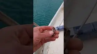 Ревизия   вант на яхте, замена леерных ограждений.