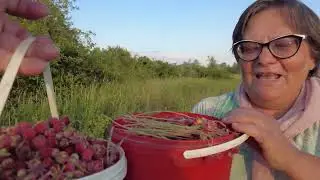 Полуничний рай.
