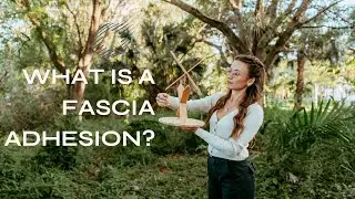 What is a Fascia Adhesion