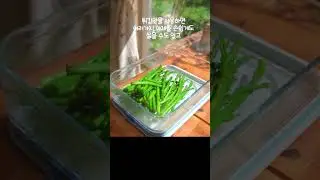 9/1일 뉴메이슨케틀팟 최저가 공구예고