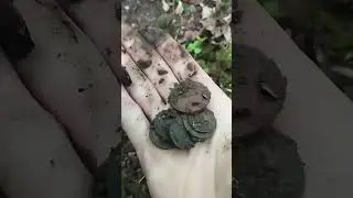 #metaldetectingua #metaldetecting #metaldetector