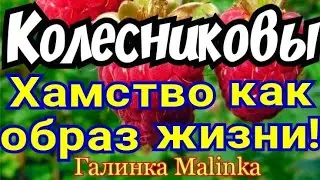 Колесниковы /Семья Колесниковых /Обзор новых ВЛОГОВ /хамство как образ жизни /
