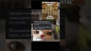 топ мемы 
