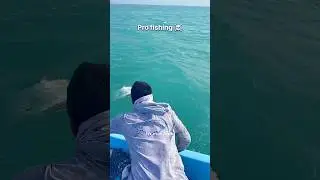 Pro fishing 💀| Trollface edit | truman7edit | #trollface